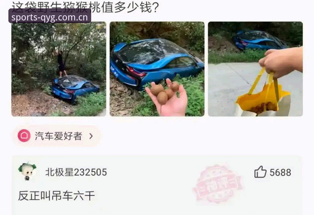 QYG下载地址下载不了怎么办 奇异果体育下载地址失效vs无法安装:专业对比分析与解决方案