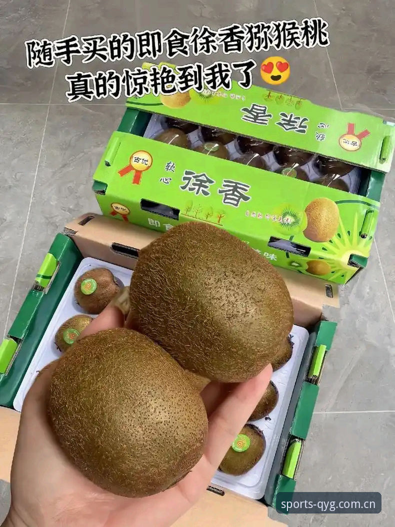 奇异果体育安装包深度评测：从下载体验到版本迭代的全面分析